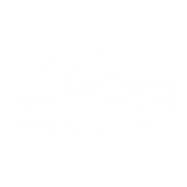 TEIBAS logo in white